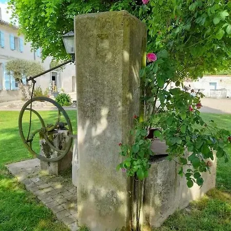 Jolie Charentaise Saint-Simon-de-Pellouaille